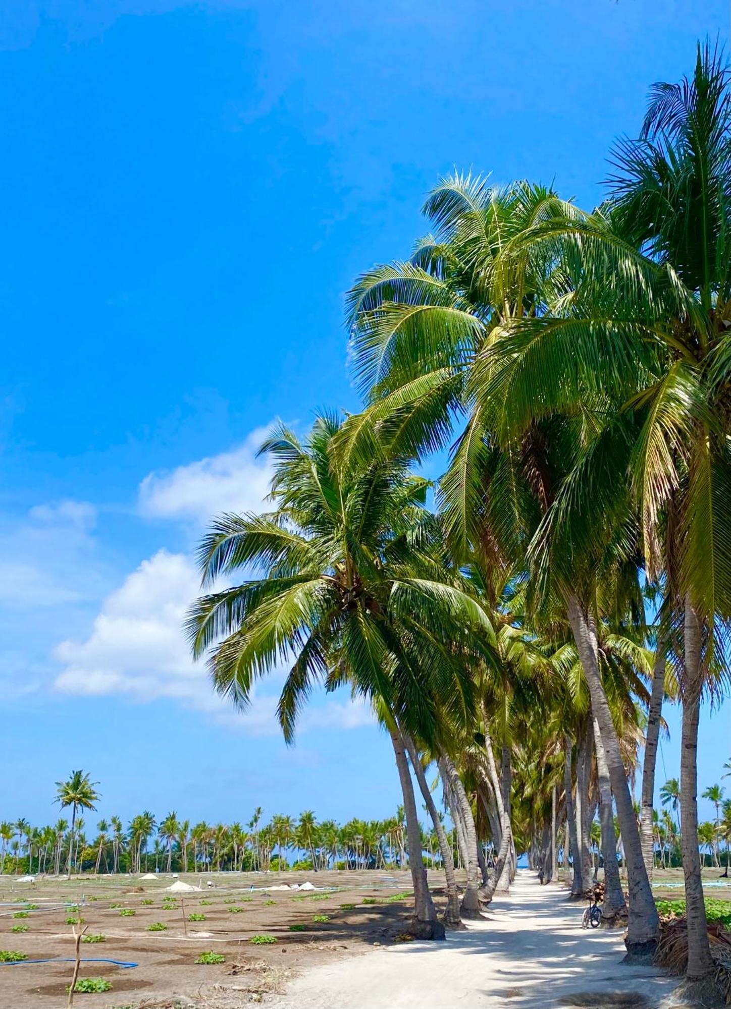 Sorenzo Maldives Thoddoo Eksteriør bilde